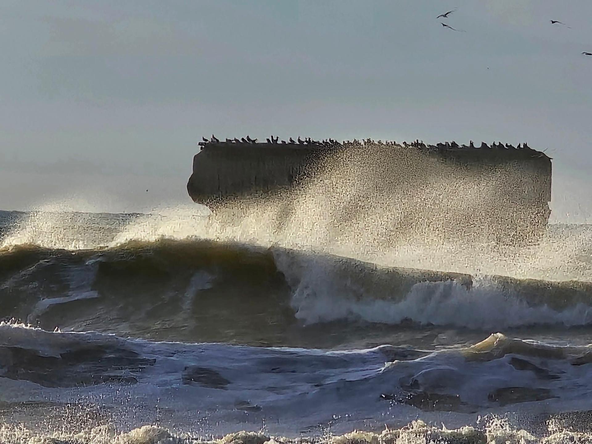 Rémi Gaugin 22 Janvier 2026