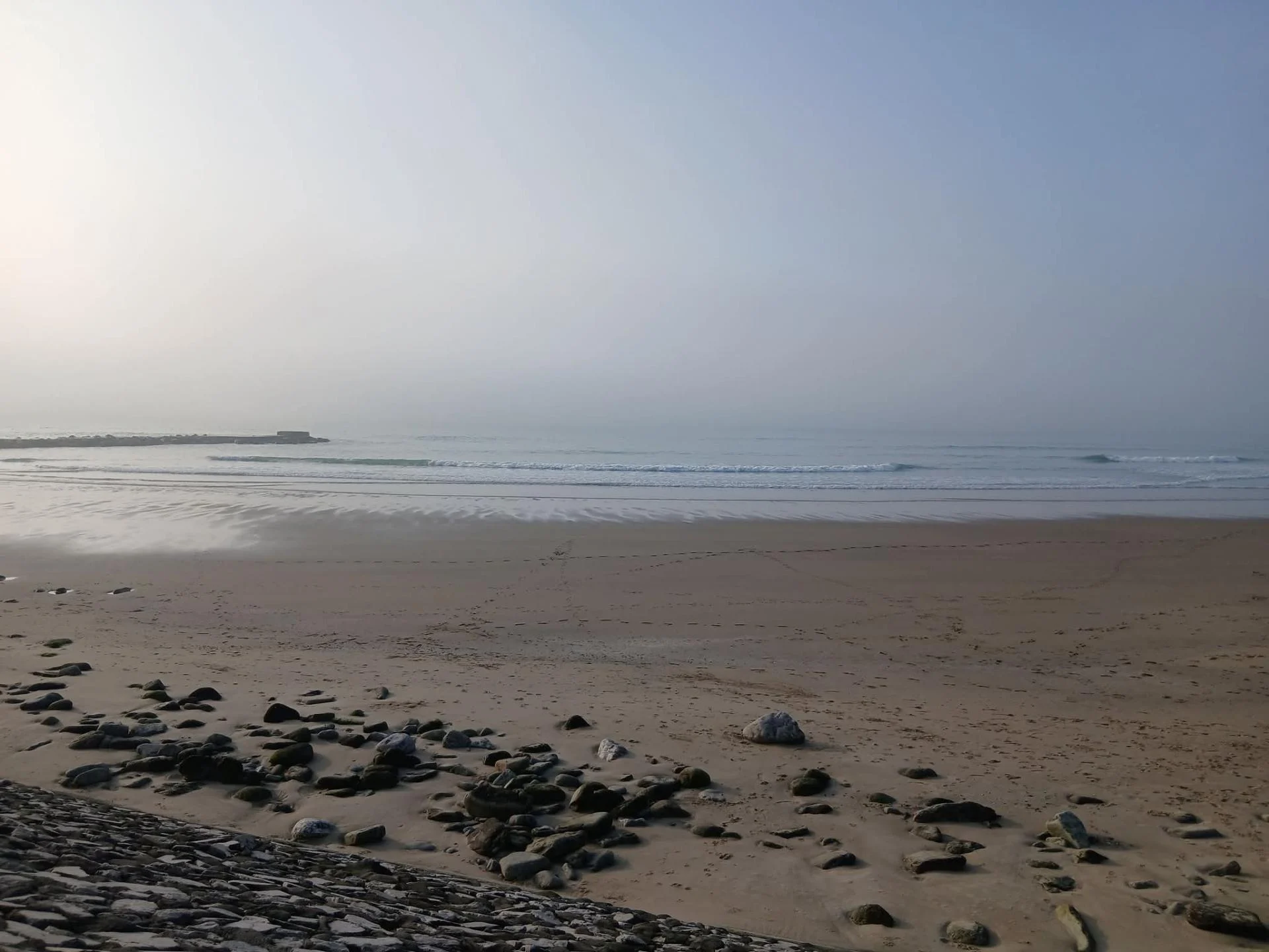 Franck Havet 10 03 2026